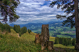 Bernhard Saalfeld - Allgaeu 2023 (9v9)